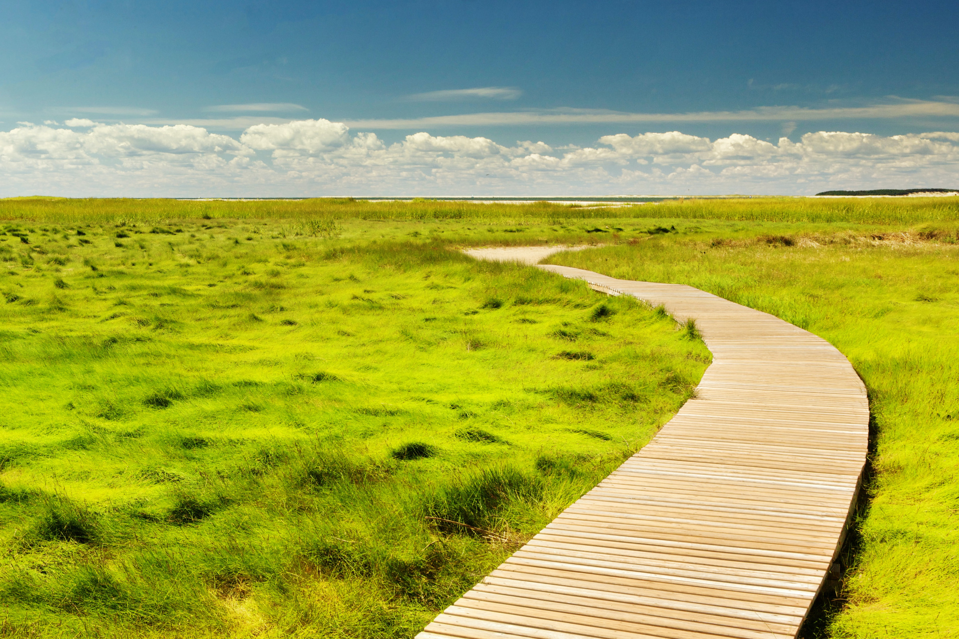 Plecăciunea fără cap dăunează grav echilibrului