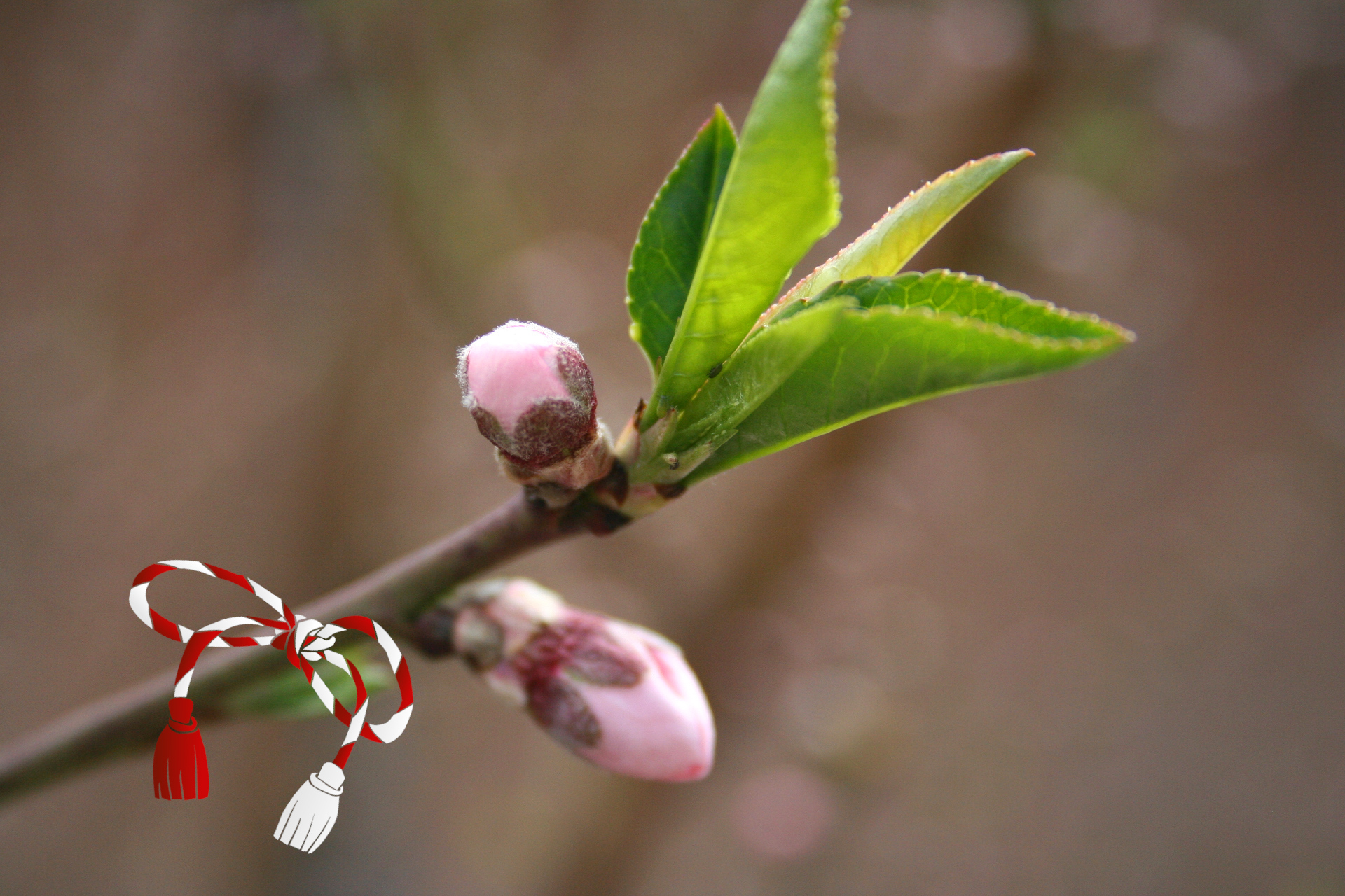 Despre mărțișor și împrimăvărarea inimii