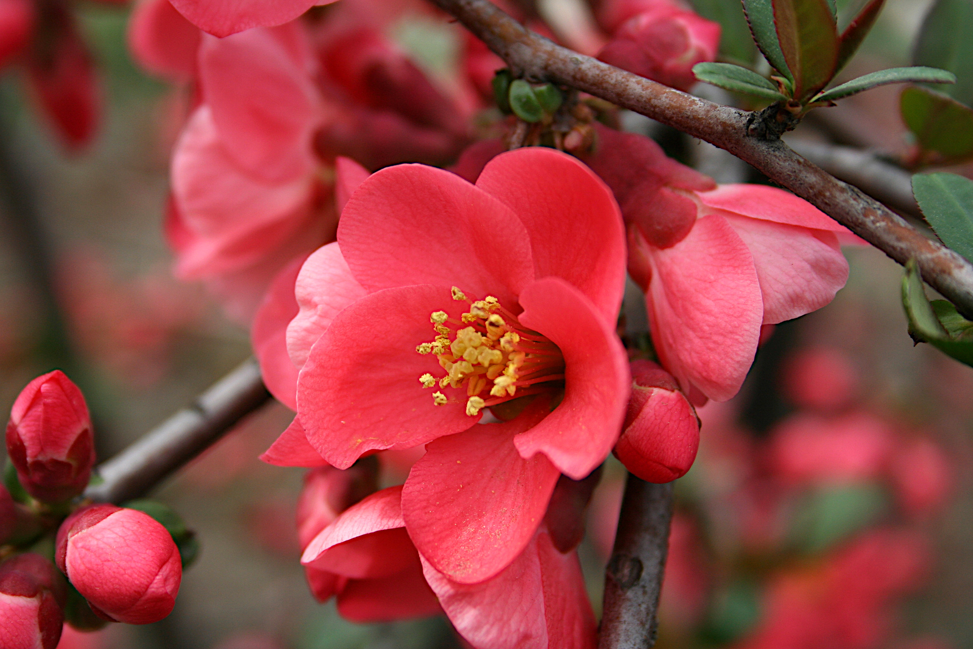 Rendez-vous printre rânduri